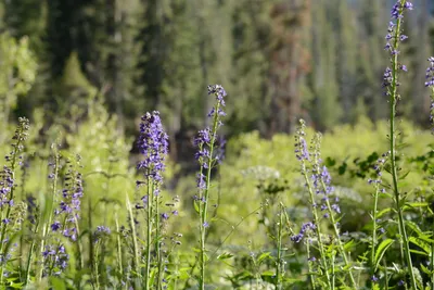 DSC_3531 (Large).JPG